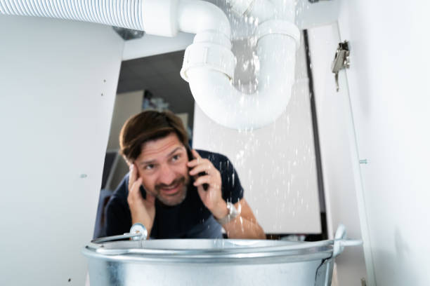 Best Water Softener Installation  in Wapello, IA