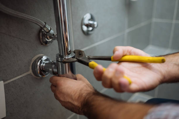 Best Shower Repair Services  in Wapello, IA