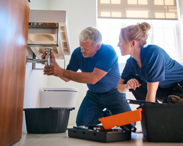 Best Emergency Plumber  in Wapello, IA